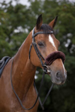 EQUITHÈME Noseband Protector - Teddy - Image 5