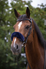 EQUITHÈME Noseband Protector - Teddy - Image 7