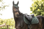 LAMI-CELL Saddle Pad - LC - Image 11