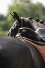 Saddle pad LAMI-CELL - Vintage - Image 9