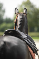 Saddle pad LAMI-CELL - Vintage - Image 10