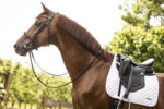 Saddle pad LAMI-CELL - Classic - Image 2