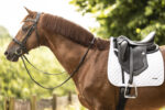 Saddle pad LAMI-CELL - Classic - Image 6