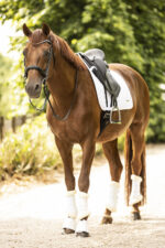 Saddle pad LAMI-CELL - Classic - Image 9