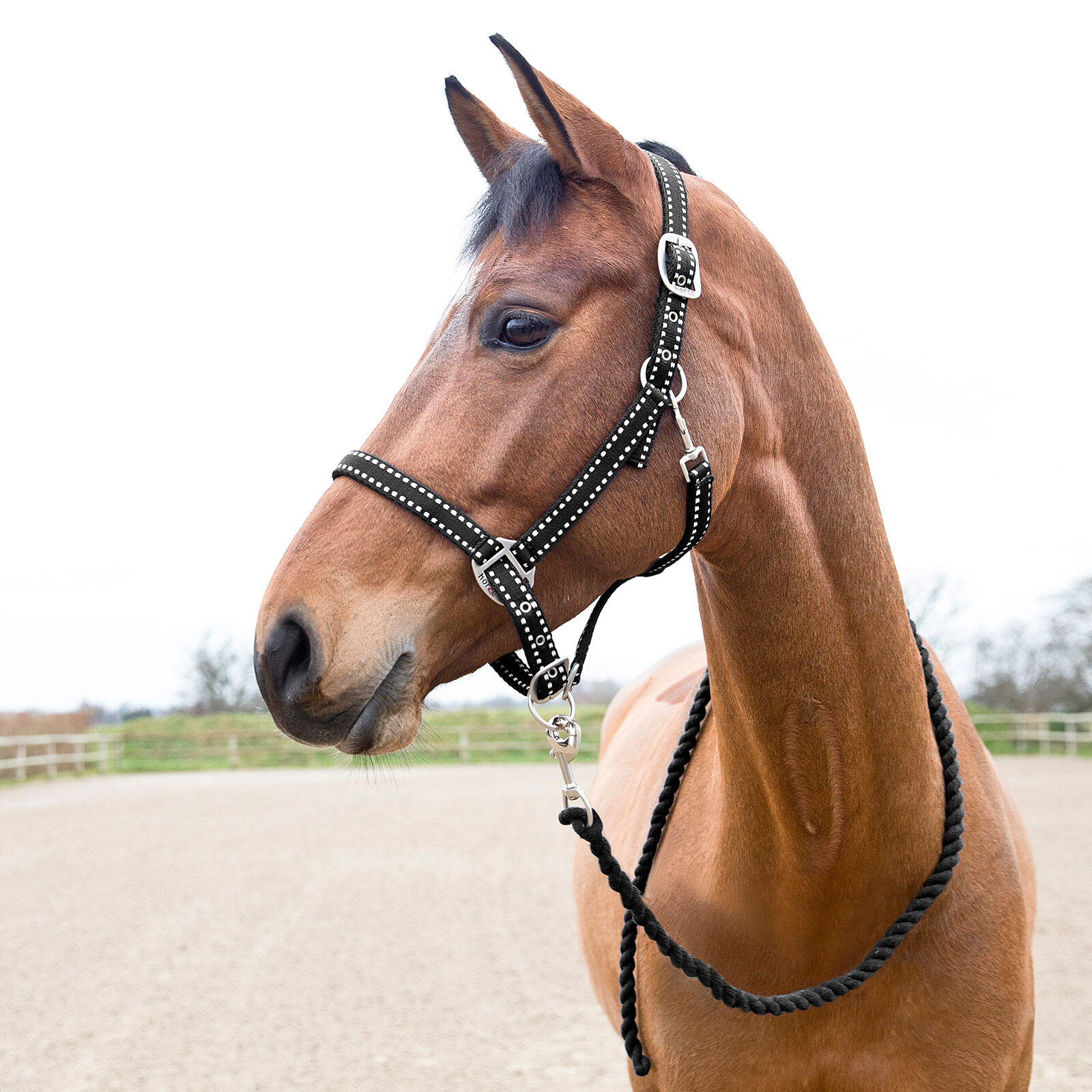 Horze Cooper Halter and Lead Set