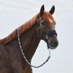 Horze Kiel Halter with Fleece - Image 5