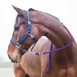 Horze Lead, snap buckle SUPREME - Image 13