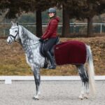 Horze Kiel Fleece Back Rug - Image 2