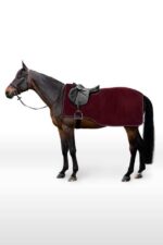 Horze Kiel Fleece Riding Rug - Image 2