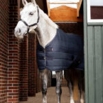 Horze Kingsley Stable Rug, 150g