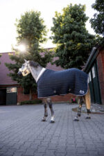 B Vertigo Theo Stable Rug, 150g - Image 3