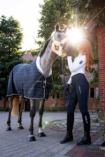 B Vertigo Theo Stable Rug, 150g - Image 2