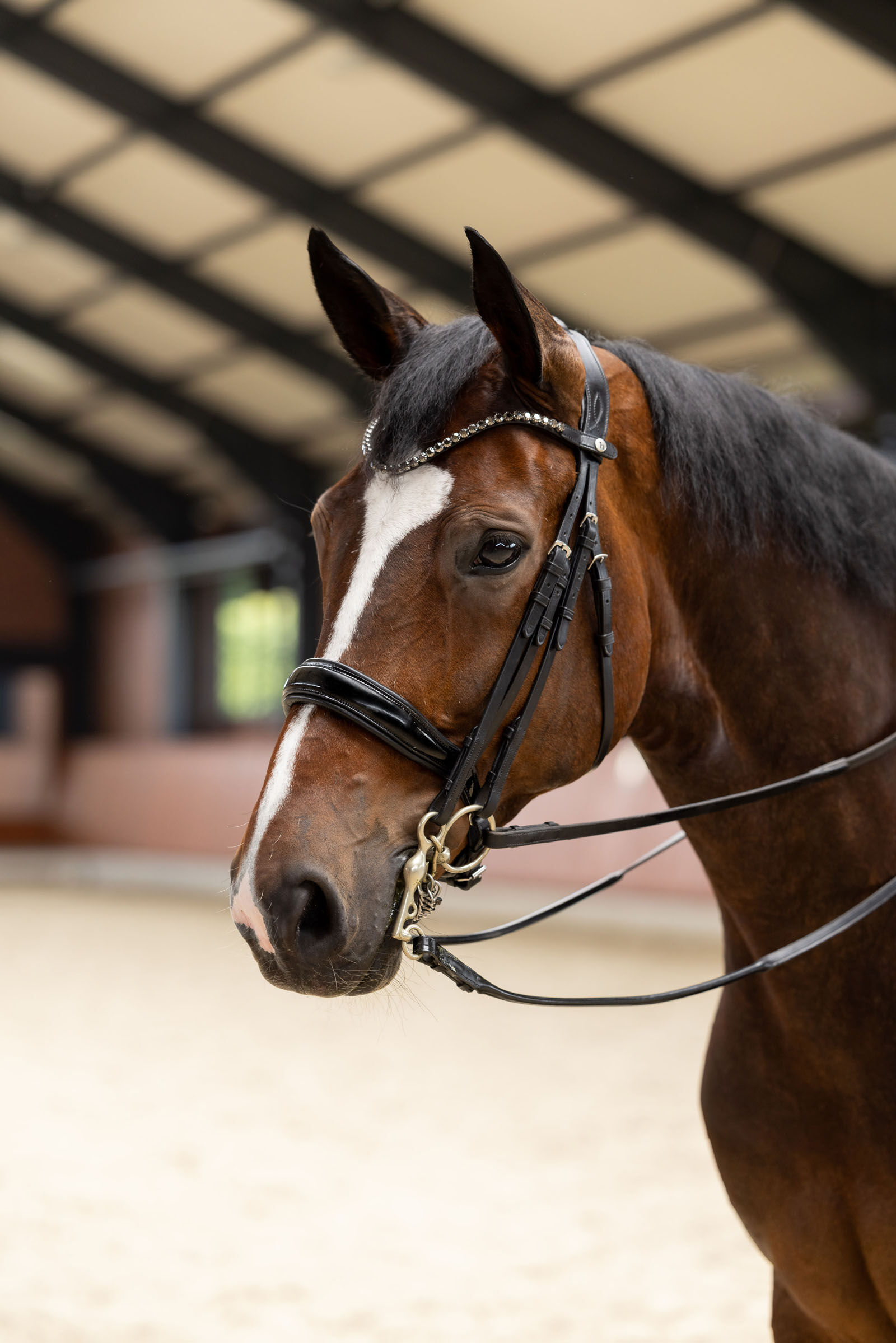 Horze Glamourdale Weymouth bridle
