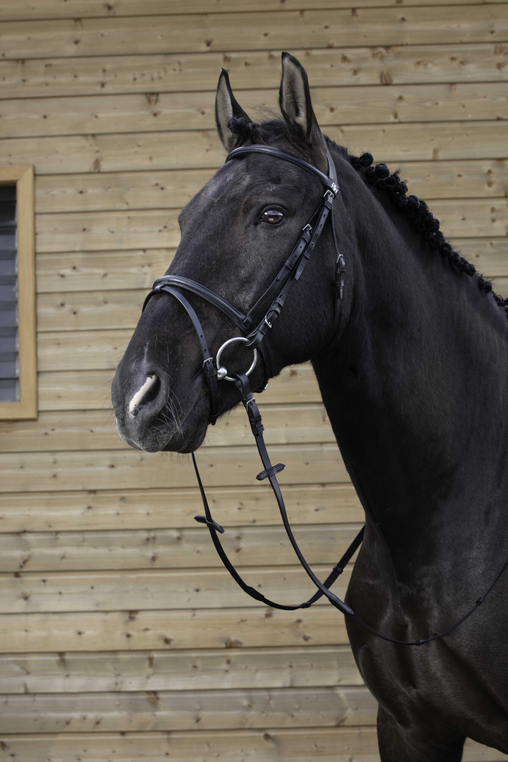 RIDING WORLD Bridle – Combined Noseband