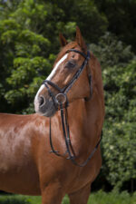 RIDING WORLD Bridle – Combined Noseband - Image 2