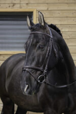RIDING WORLD Bridle – Combined Noseband - Image 3