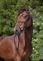 RIDING WORLD Bridle – Mexican Noseband - Image 2