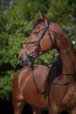 RIDING WORLD Bridle – Mexican Noseband - Image 3