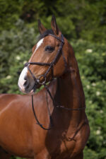 RIDING WORLD Bridle – Mexican Noseband - Image 5