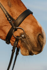 RIDING WORLD Bridle – Wide Noseband Bridle - Image 2