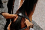 NORTON Bitless bridle - Image 2