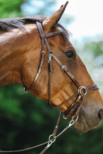 NORTON Bitless bridle - Image 4