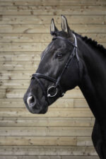 NORTON PRO - Fine - Bridle seam - Image 2