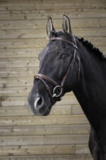 NORTON PRO - Fine - Bridle seam - Image 3