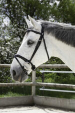 NORTON PRO bridle - combined noseband -