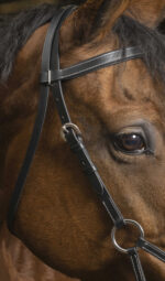 NORTON PRO - Comfort - Sidepull