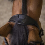 NORTON PRO Bridle - Rock - - Image 2
