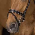 NORTON PRO Bridle - Rock - - Image 3