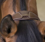 NORTON PRO Bridle - Rock - - Image 6
