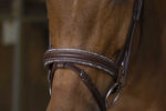 NORTON PRO Bridle - Rock - - Image 7
