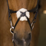 NORTON PRO bridle with crossed noseband - Image 2