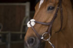 NORTON PRO bridle with crossed noseband - Image 4