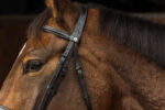 NORTON PRO - Dark - Bridle - Image 3