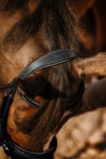 Bridle ERIC THOMAS - Work - Image 2