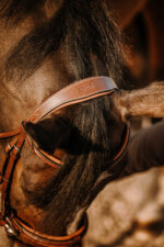 Bridle ERIC THOMAS - Work - Image 4