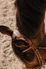 Zaumzeug ERIC THOMAS - Visby - Image 2