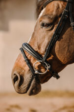 ERIC THOMAS Bridle - Bat - Image 3