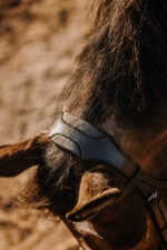 ERIC THOMAS Bridle - Bat - Image 4