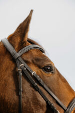 NORTON CLUB - Strass V - Bridle - Image 2
