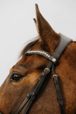NORTON CLUB - Diva - Bridle - Image 2