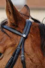 Bridle NORTON - Training - Image 6