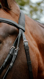 Bridon endurance NORTON - Pop - Image 4