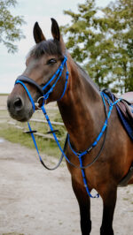 Bridon endurance NORTON - Pop - Image 5