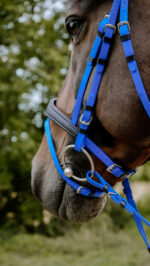 Bridon endurance NORTON - Pop - Image 6