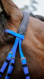 Bridon endurance NORTON - Pop - Image 7
