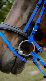 Bridon endurance NORTON - Pop - Image 8